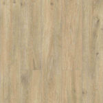 DRY BACK 40036-1